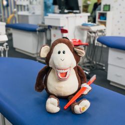 One Loose Tooth - Monkeys need to floss too!