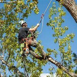 Tanksley Tree Service