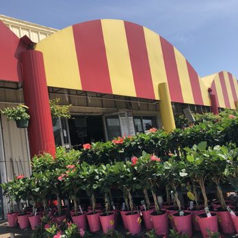 Houston Garden Centers - Nurseries & Gardening Near Me - Houston, Texas Houston Garden Centers - Nurseries & Gardening Near Me - Houston, Texas