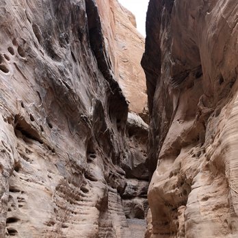Mr Las Vegas Tours - Tours Near Me - Las Vegas, Nevada Mr Las Vegas Tours - Tours Near Me - Las Vegas, Nevada