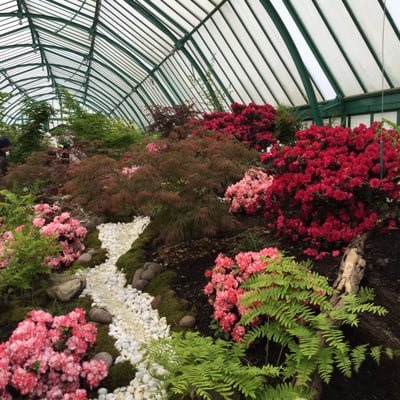 Royal Greenhouses of Laeken by null