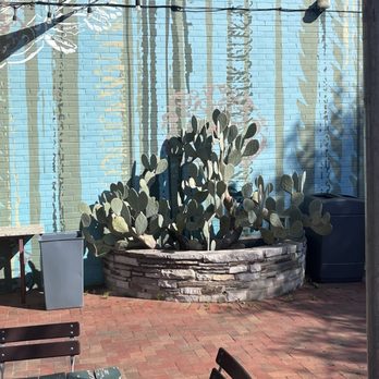Brewed - Outdoor decor - Coffee & Tea Near Me - Fort Worth, Texas