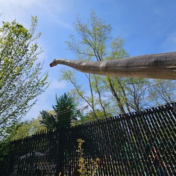 Roger Williams Park Botanical Center - Yup, that's a long neck! - Botanical Gardens Near Me - Providence, Rhode Island