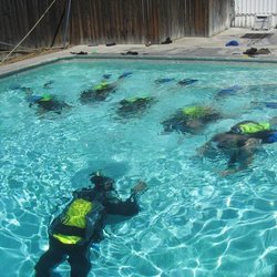 Bob's Dive Shop - Our Diver Training Tank is on site for your convenience.