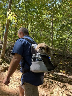 Paris Mountain State Park by null