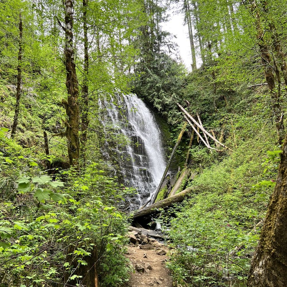 University Falls - University Falls - Hiking Near Me - Gales Creek, Oregon University Falls - University Falls - Hiking Near Me - Gales Creek, Oregon