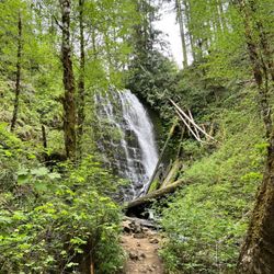 University Falls - University Falls
