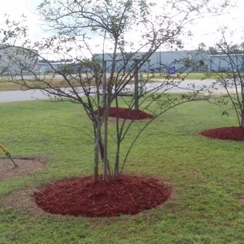 Clips Lawn Care - Commercial property ornamentation - Lawn Services Near Me