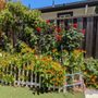 Photo of Little Learners Academy