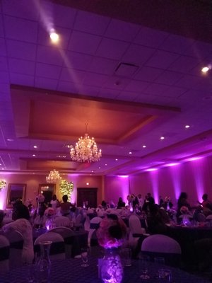 Crystal Gardens by null