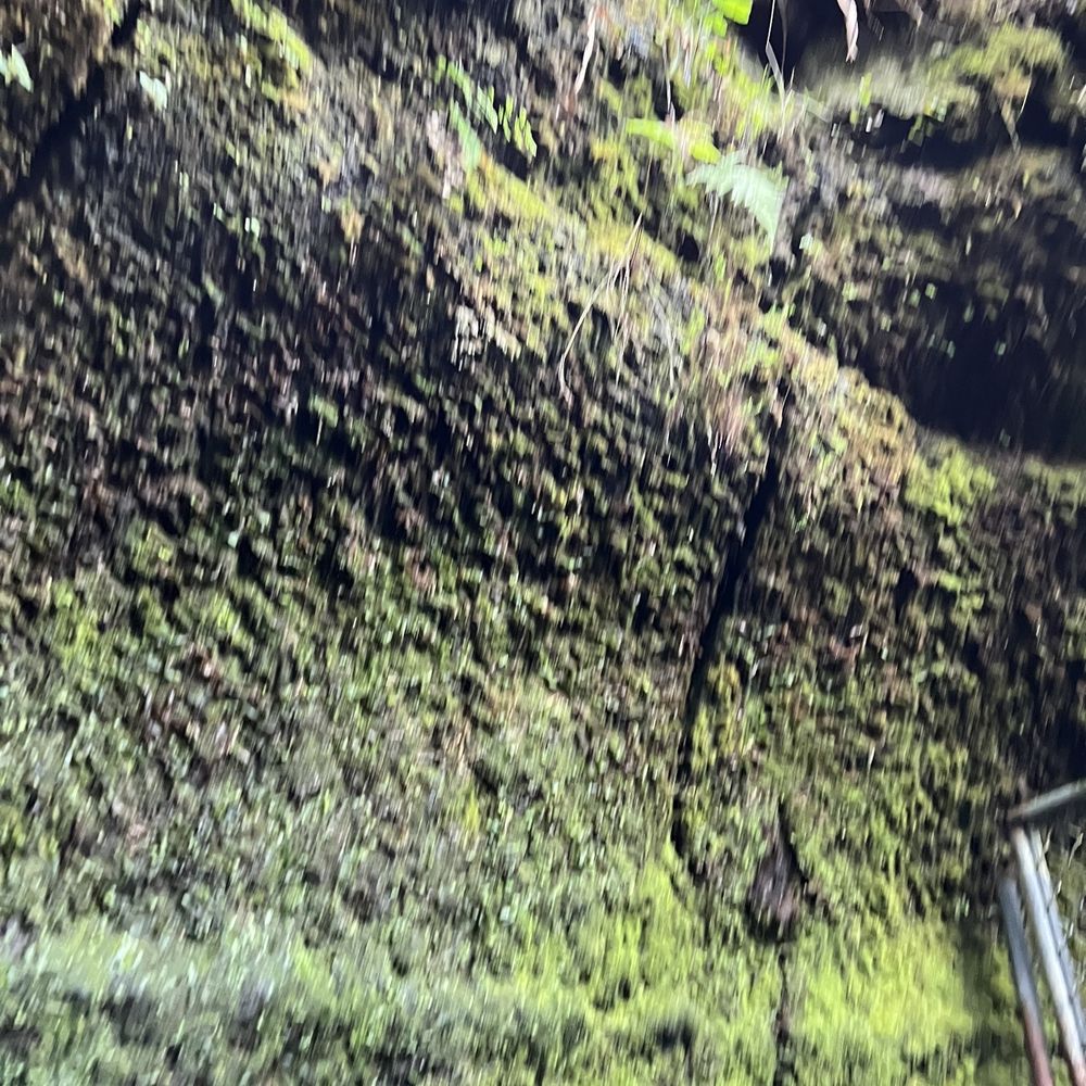 Volcano Ohana - Lava tube - Bike tours Near Me Volcano Ohana - Lava tube - Bike tours Near Me