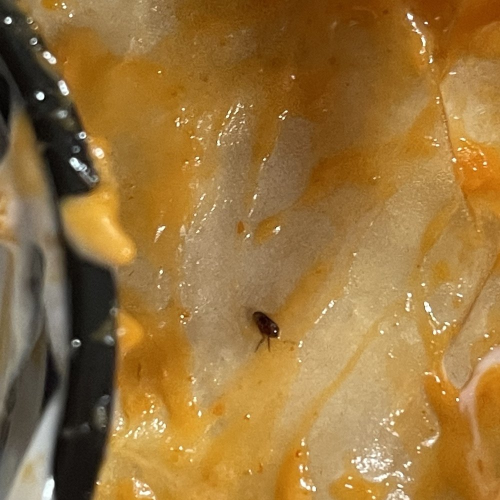 Buffalo Wild Wings - Bug in food - Chicken Wings Near Me - Riverview, Florida Buffalo Wild Wings - Bug in food - Chicken Wings Near Me - Riverview, Florida