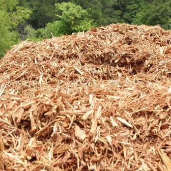 Triangle Landscape Supplies, Durham - Cedar Mulch Bulk (per cu. yd.)
Long-lasting coverage that reduces the need for frequent reapplication... - Nurseries & Gardening Near Me - Durham, North Carolina Triangle Landscape Supplies, Durham - Cedar Mulch Bulk (per cu. yd.)
Long-lasting coverage that reduces the need for frequent reapplication... - Nurseries & Gardening Near Me - Durham, North Carolina