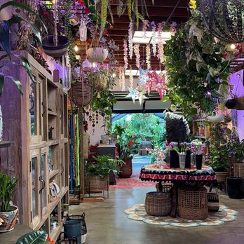 Tansy - Home Decor Near Me - Burbank, California