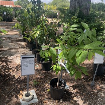 Fanick's Garden Center - Nurseries & Gardening Near Me - San Antonio, Texas