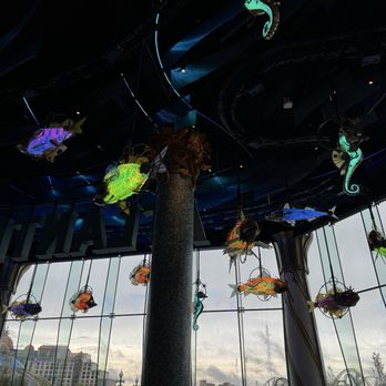 Atlantic - Inside Atlantic Theme - Seafood Near Me - Orlando, Florida