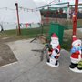 YMCA Y’s Men’s Christmas Tree Lot