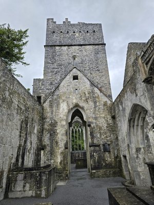Muckross Abbey by null