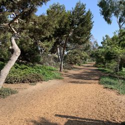 Greenbelt Park