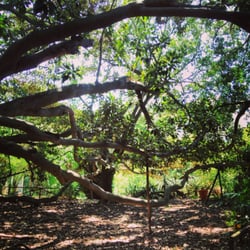 Orto Botanico