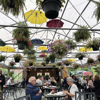 Greenhouse Cafe & Tavern - Cafes Near Me - Burlington, Connecticut Greenhouse Cafe & Tavern - Cafes Near Me - Burlington, Connecticut