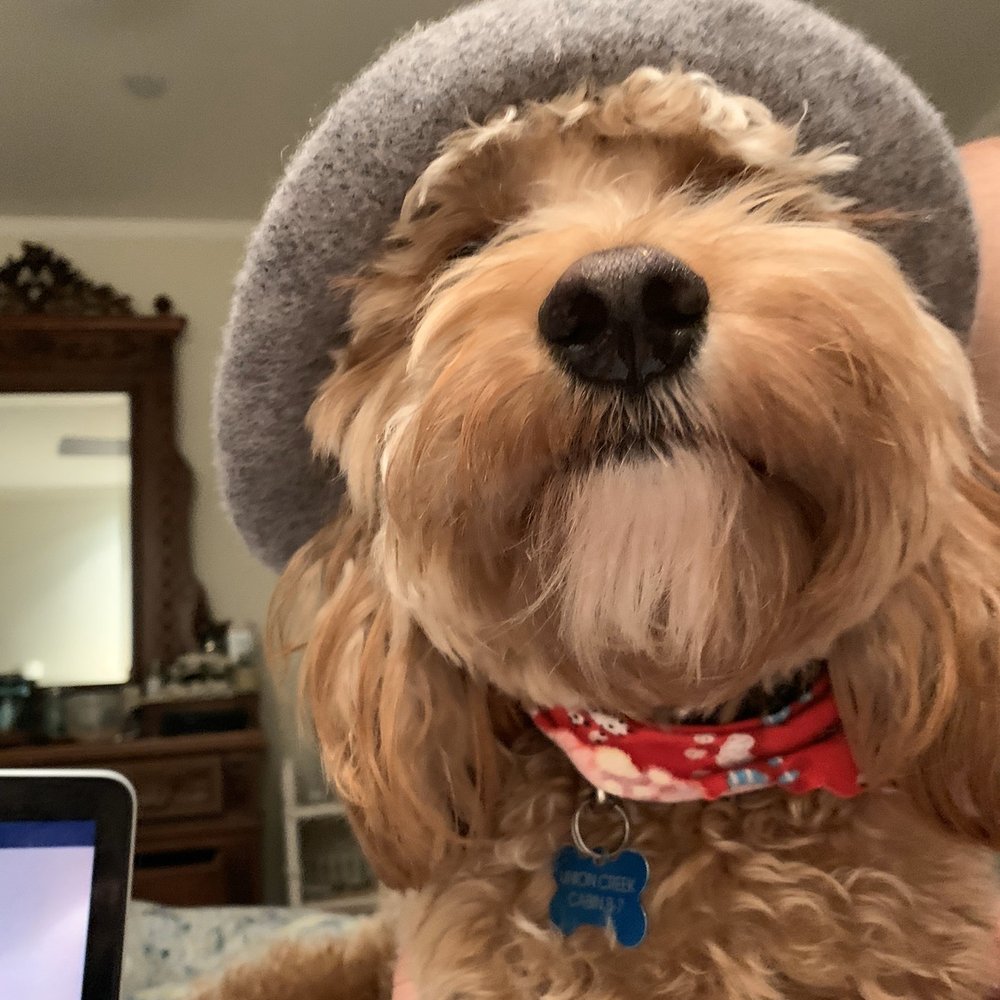 Otis! Otis!