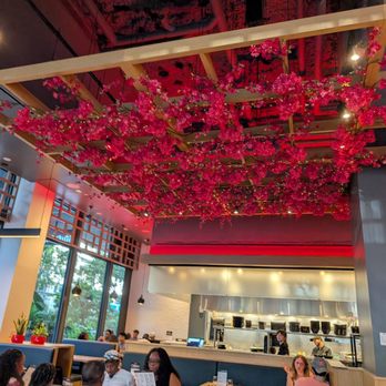 Wagamama - Asian Fusion Near Me - Tampa, Florida Wagamama - Asian Fusion Near Me - Tampa, Florida