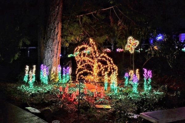 Garden d’Lights by null