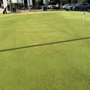 Photo of Fox Creek Golf Club & Driving Range