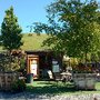 Photo of Lisa Arnold Nursery Sales
