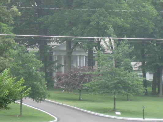 Graceland by null