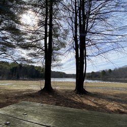 Mill Pond Recreation Area - Bench