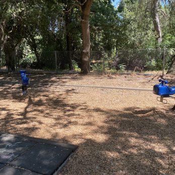 Putah Creek Park - Parks Near Me - Davis, California Putah Creek Park - Parks Near Me - Davis, California
