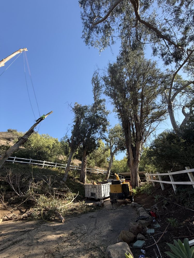 Royal Oak Tree Service - tree service in Simi Valley , CA