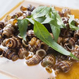 Cajun Coconut Snails