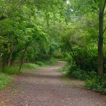 Amico Island State Park - Red trail - Hiking Near Me - Delran, New Jersey