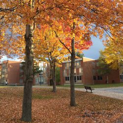 SUNY Oneonta