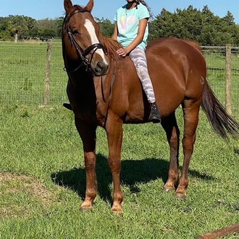 Star Rise Stable - Summer Camps Near Me - Christmas, Florida Star Rise Stable - Summer Camps Near Me - Christmas, Florida