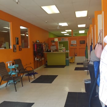 Dippity Dog - Pet Groomers Near Me - Oceanside, California Dippity Dog - Pet Groomers Near Me - Oceanside, California