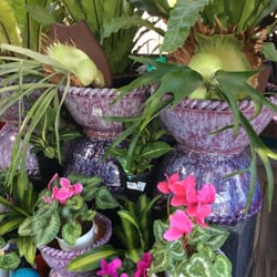 Sherringhams Nursery