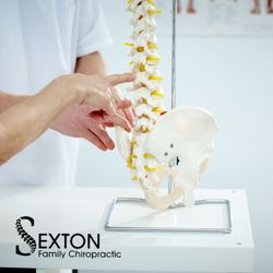 Sexton Family Chiropractic - We are Middleburg's choice for chiropractic care.