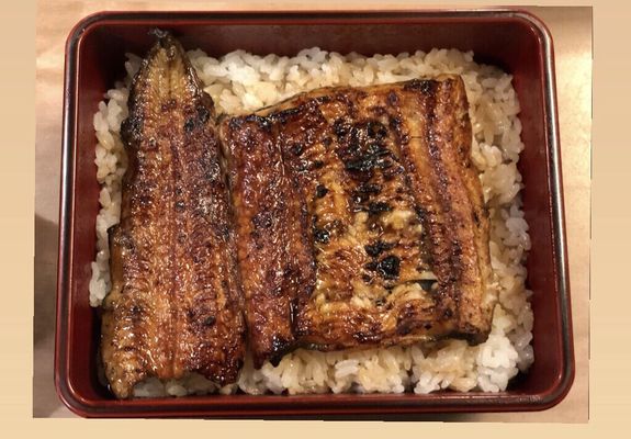 Unagi Hashimoto by null