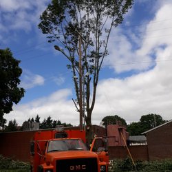 Arbor City Tree Care