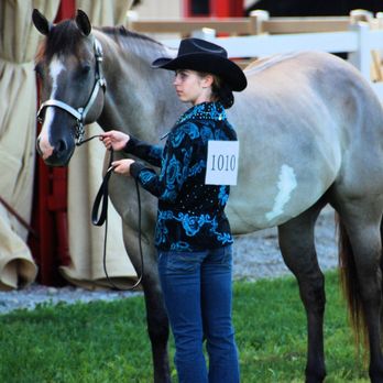 Faith Training Center - Madison is the proud owner of Leap, this beautiful blue roan. - Horse Boarding Near Me - Lakeville, Indiana Faith Training Center - Madison is the proud owner of Leap, this beautiful blue roan. - Horse Boarding Near Me - Lakeville, Indiana