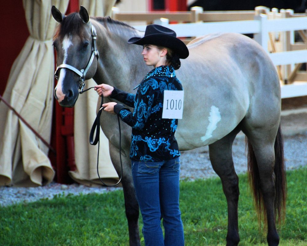 Faith Training Center - equestrian in Lakeville, IN