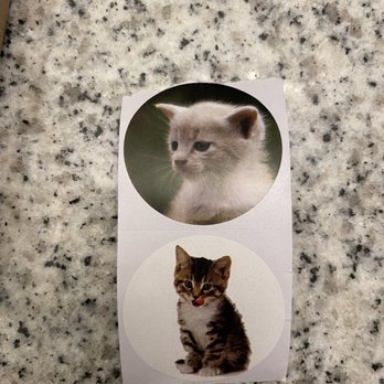 Kansas City Kitty - Free Kitty stickers included with our purchase :-) - Women's Clothing Near Me - Fort Collins, Colorado