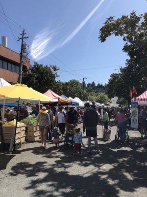 Magnolia Farmers Market by null