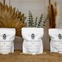 Photo of Bumble Bee Wellness