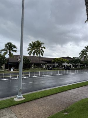 Eggs 'n Things by null