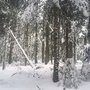 Photo of Domaine Nordique du Bessat - Les Grands Bois
